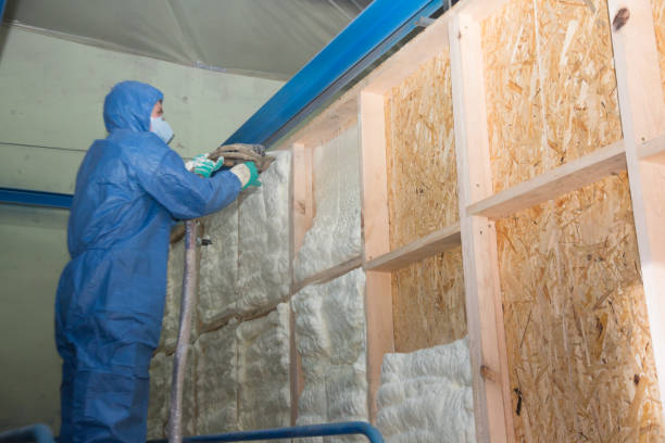 Best Insulation Contractors for Homes  in Woxall, PA