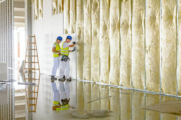 Insulation for Commercial Buildings in Woxall, PA